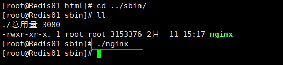 Linux安装nginx