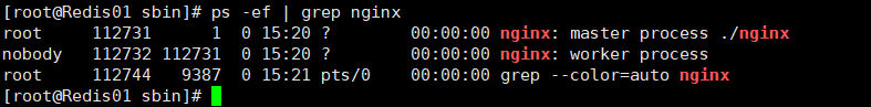 Linux安装nginx