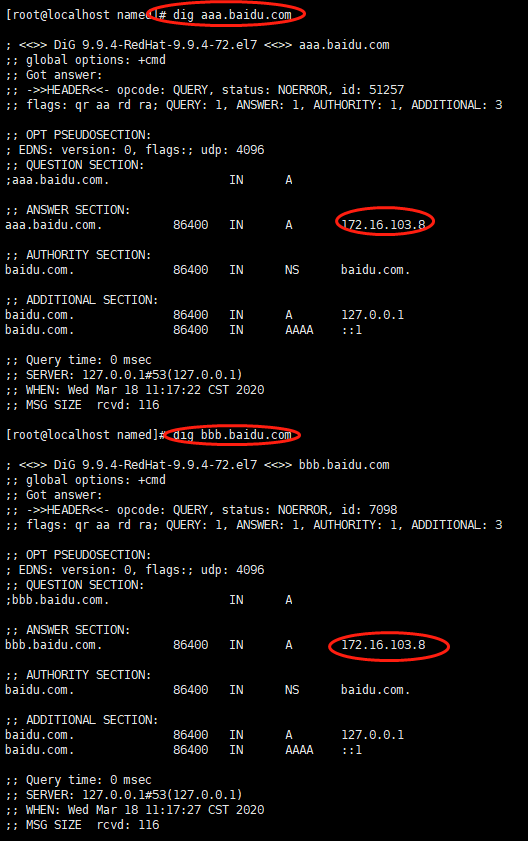 dns+nginx实现多虚拟主机