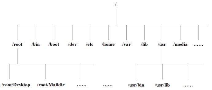 Linux基础入门（二）了解系统目录