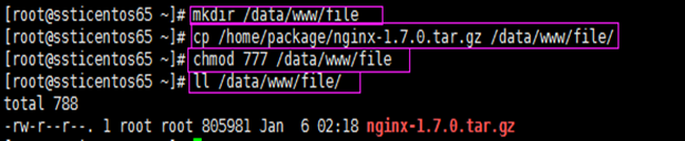 llinux 环境安装编译 nginx (源码安装包)