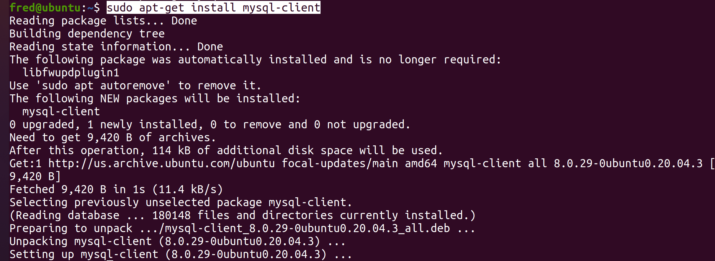 C++  mysqlclient